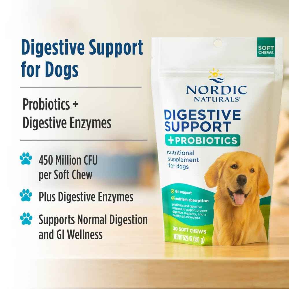 Nordic Naturals Pet Digestive Support with Probiotics, Pork Bone Broth Flavor - 30 Soft Chews - Nutritional Supplement for a Healthy Digestive System and GI Support - 30 Non-GMO Chews