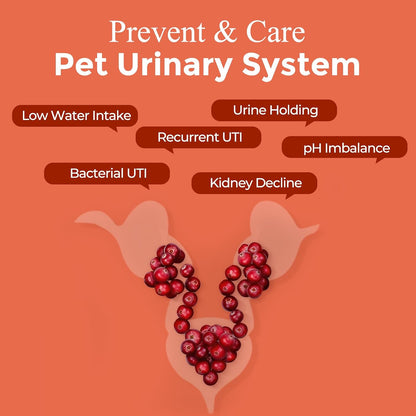 NATURE TARGET Dog UTI Treatment, Cranberry Supplement for Dogs 120 Chews - Urinary Tract & Bladder Support with D-Mannose, Marshmallow, Astragalus - Vet Formulated Immune & Kidney Support - Chicken