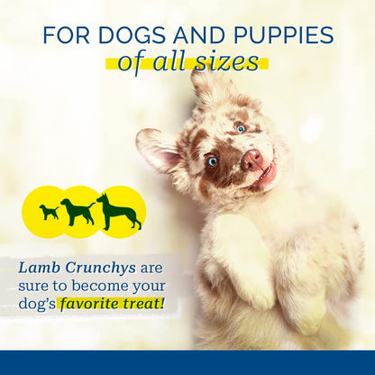 PCI Pet Center Inc Lamb Crunchys raw dehydrated Lamb Dog - 16 oz