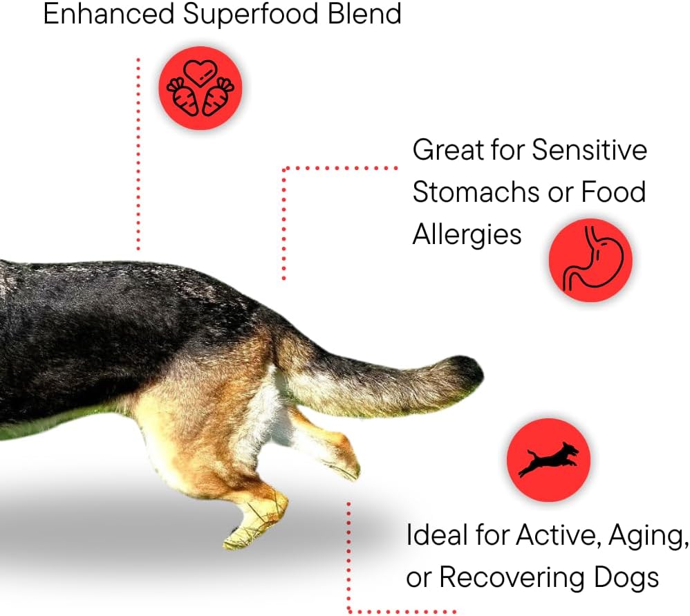 Dr. Kellyann Bone Broth Meal Topper for Dogs - Grass-Fed Beef Recipe - 3g Collagen - Supports Healthy Digestion & Joints - Shiny Coat - Grain Free - 6.60 oz