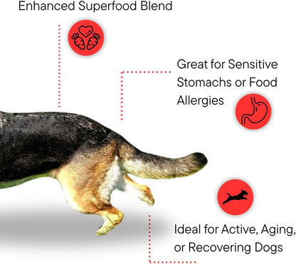 Dr. Kellyann Bone Broth Meal Topper for Dogs - Grass-Fed Beef Recipe - 3g Collagen - Supports Healthy Digestion & Joints - Shiny Coat - Grain Free - 6.60 oz