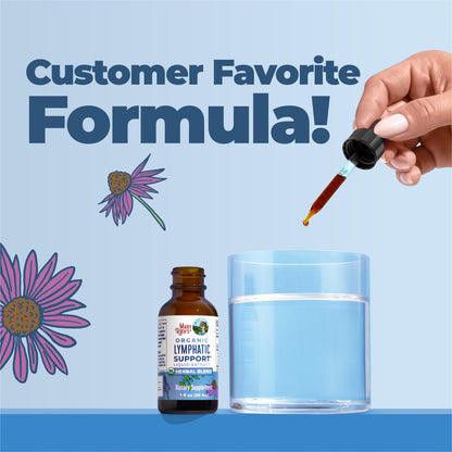 MARYRUTH'S Lymphatic Support Liquid Drops USDA Organic - Herbal Blend with Echinacea & Elderberry - Blue Vervain