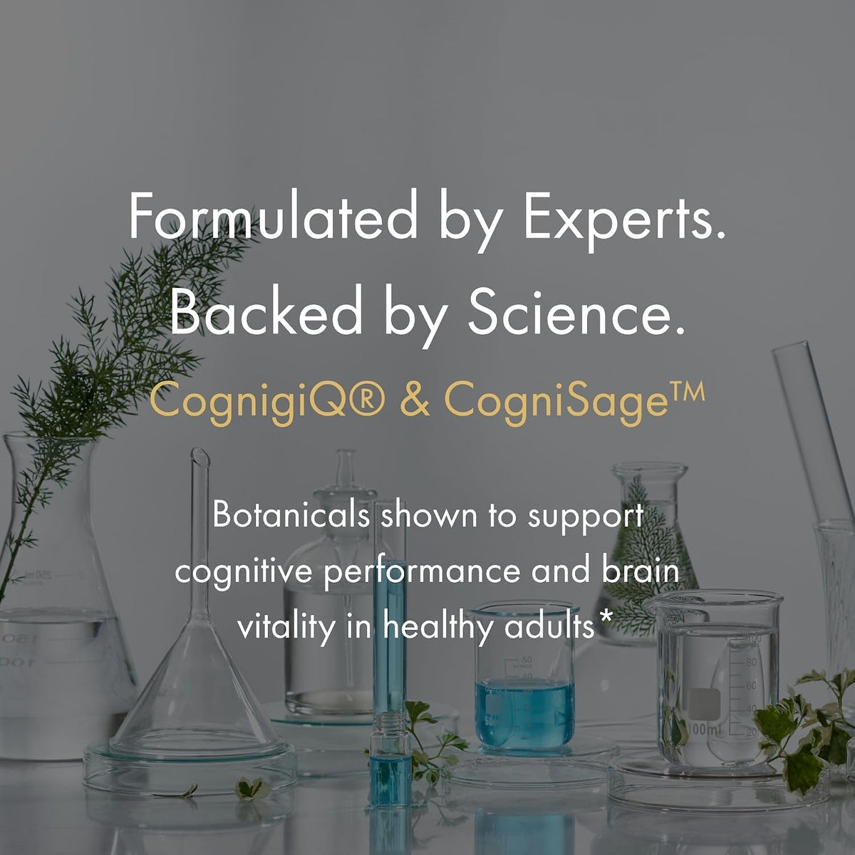 NAOMI BrainSpan with BDNF Support - Supports Working Memory, Focus & Concentration - CogniSage, CognatiQ, Lion Mane, Phosphatidylserine, Ginkgo Biloba, B6 & B12, Non-GMO, 30-Day Supply