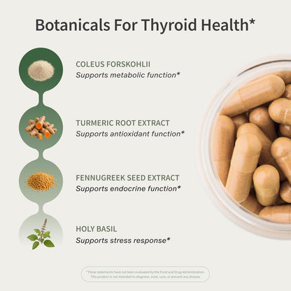 Snap Supplements Thyroid Health, Selenium, Zinc, L-Tyrosine, 60 Capsules - Thyroid Support Supplement for Women & Men, Botanicals for Metabolism, Energy & Endocrine Balance, Iodine-Free, Vegan