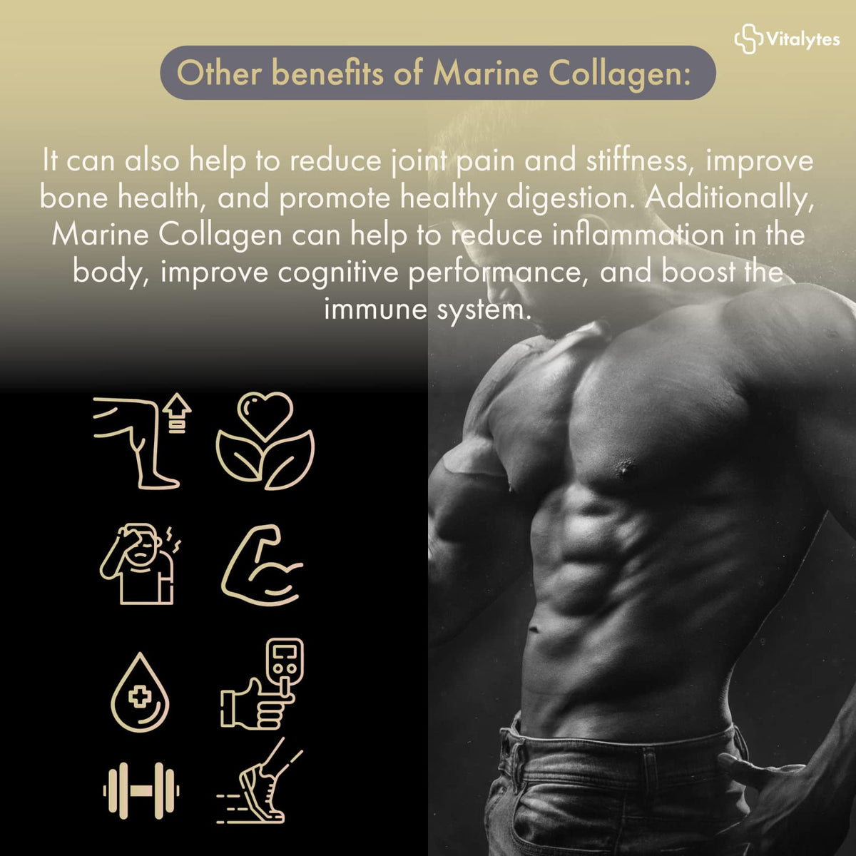 Vitalytes Marine Collagen Supplement 2400mg - 120 Marine Collagen Capsules Made in The UK
