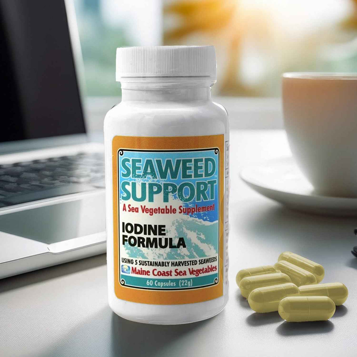 Maine Coast Sea Vegetables Seaweed Support Iodine Formula - Source of Iodine from Seaweed - Daily Use Iodine Supplement - Organic Alaria, Rockweed, Sea Lettuce, Dulse & Bladderwrack blend - 60 Capsule