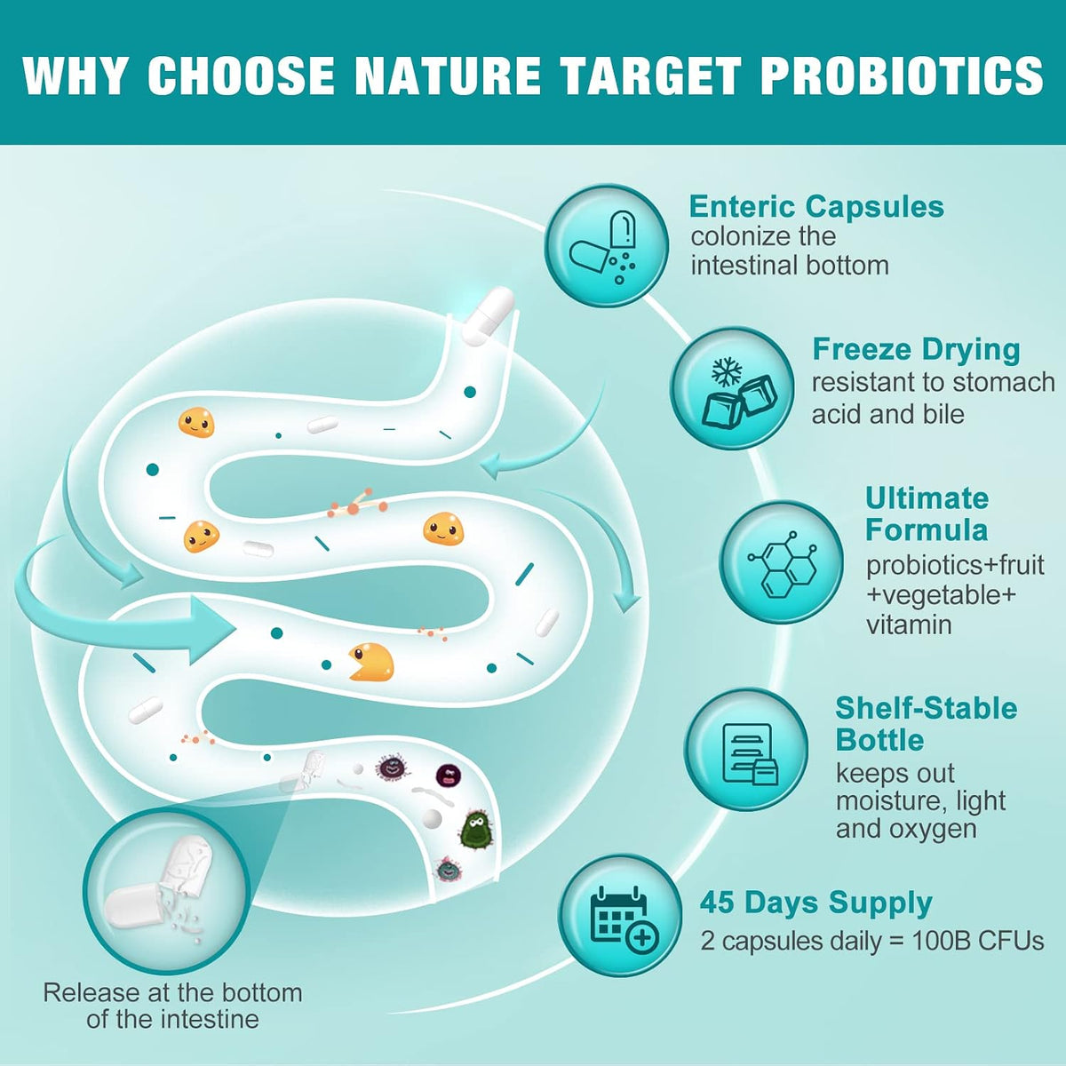 NATURE TARGET Probiotics for Women-Men with Prebiotics, 90 Veggie Capsules - 100 Billion for Digestive, Gut and Immune Health, No Refrigeration (45 Days Supply)