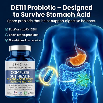 4-in-1 Gut Health Support - Prebiotics + Probiotics + Postbiotics + Digestive Enzymes - DE111 Spore Probiotic for Digestive Support & Bloating