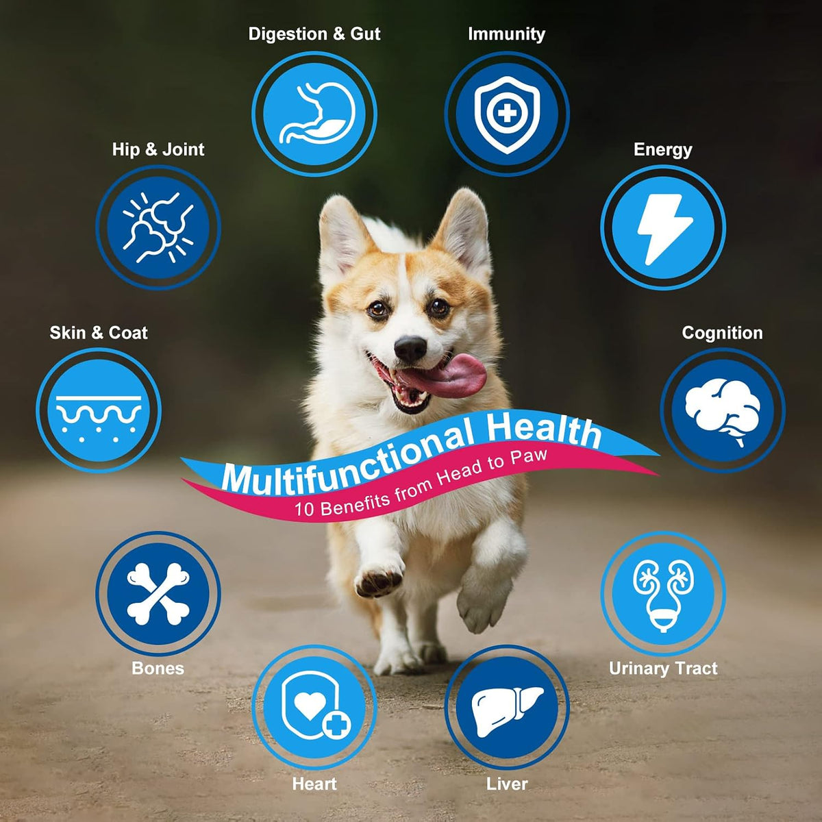NATURE TARGET Dog Vitamins Powder, Probiotics & Digestive Enzymes for Gut Health, Glucosamine & Chondroitin & Omega 3, Complete Supplement for Homemade Dog Food, Joint & Skin & Immune Support - Probiotics & Digestive Enzymes for Gut Health, Glucosamine &
