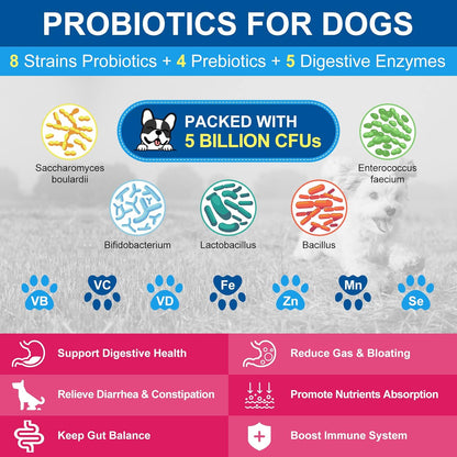 NATURE TARGET Dog Vitamins Powder, Probiotics & Digestive Enzymes for Gut Health, Glucosamine & Chondroitin & Omega 3, Complete Supplement for Homemade Dog Food, Joint & Skin & Immune Support - Probiotics & Digestive Enzymes for Gut Health, Glucosamine &
