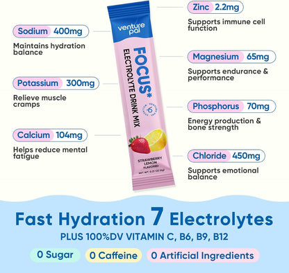 Venture Pal 2-in-1 Hydration Electrolytes Bundle - Focus & Immune Support Powder Packets, 7 Electrolytes, Vitamins, Magnesium, Lion’s Mane, L-Theanine, Elderberry, Sugar Free Drink Mix, 32 Sticks