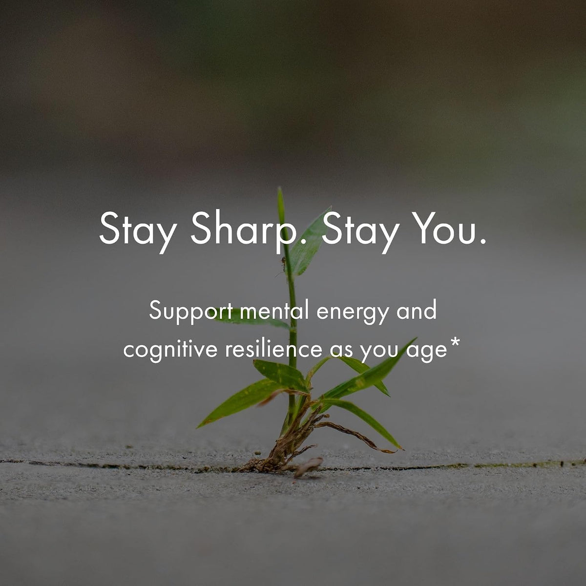 NAOMI BrainSpan with BDNF Support - Supports Working Memory, Focus & Concentration - CogniSage, CognatiQ, Lion Mane, Phosphatidylserine, Ginkgo Biloba, B6 & B12, Non-GMO, 30-Day Supply