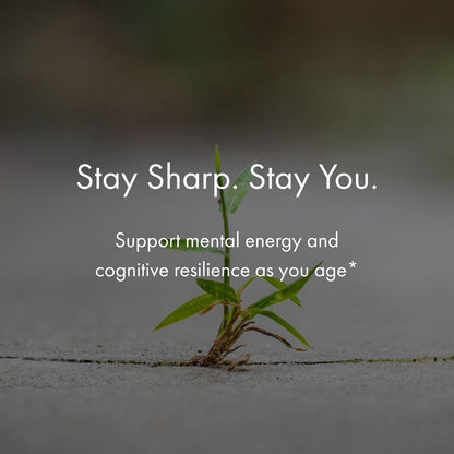 NAOMI BrainSpan with BDNF Support - Supports Working Memory, Focus & Concentration - CogniSage, CognatiQ, Lion Mane, Phosphatidylserine, Ginkgo Biloba, B6 & B12, Non-GMO, 30-Day Supply