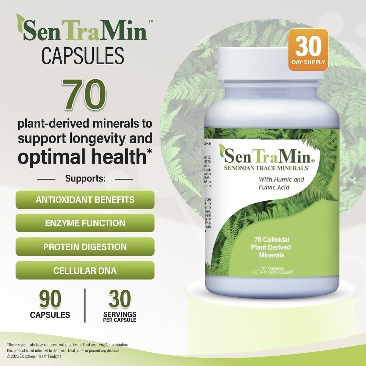 Plant Based Mineral Complex, 90 Vegetable Capsules - Daily Wellness, Energy & Immune Support with70 Plant Sourced Colloidal Trace Minerals with Antioxidants, Enzymes & More