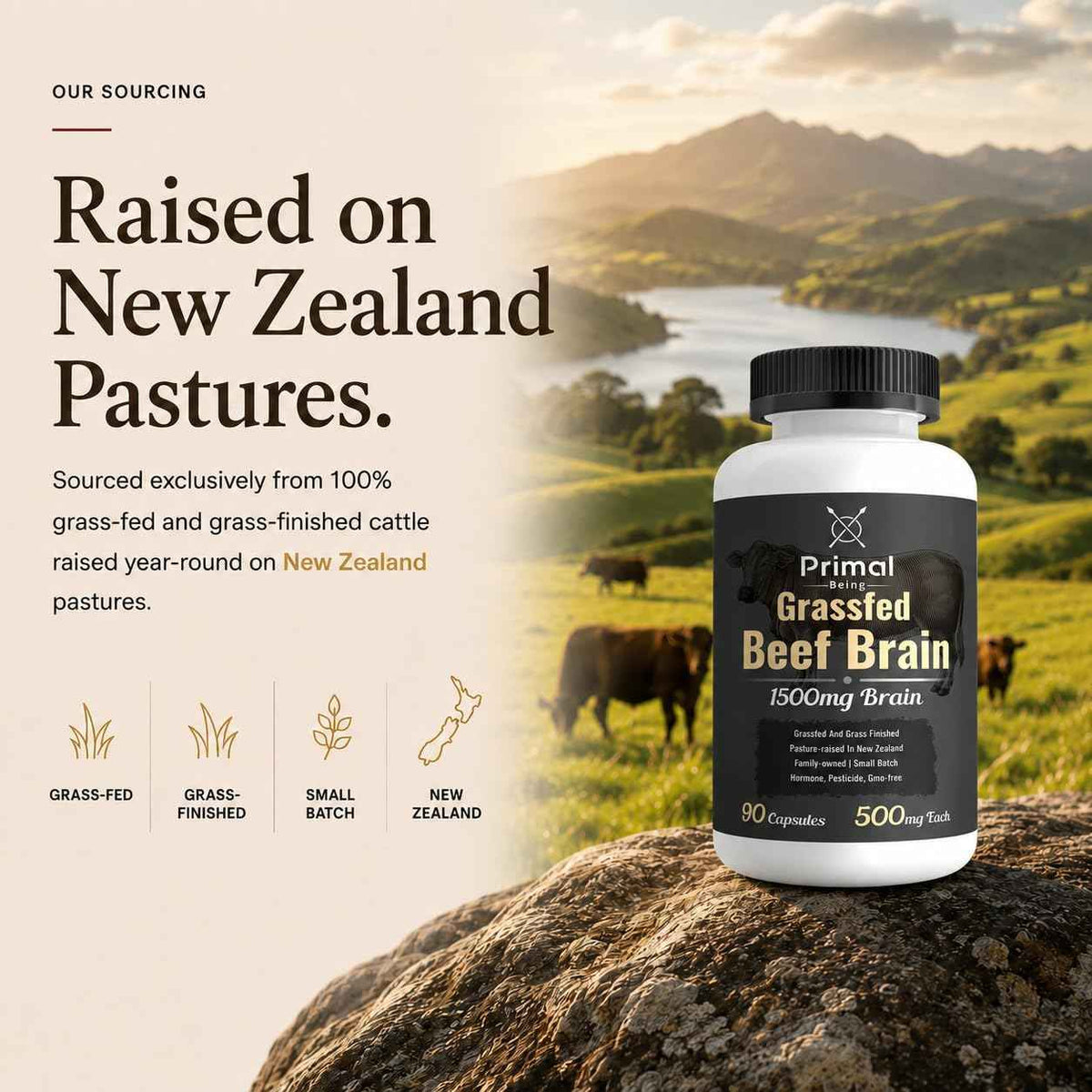 Primal Being Grassfed Beef Brain, Supports Memory, Mood, Focus, Energy, Cognitive Health - 90 Capsules, 1500mg per Serving