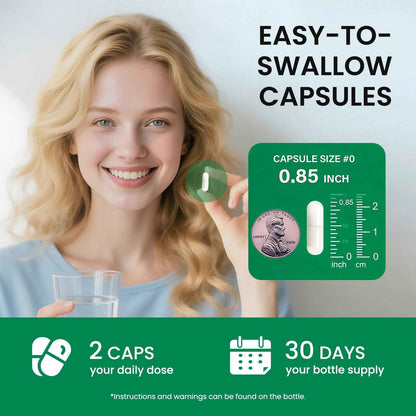 PhosphatidylSerine Memory & Focus Supplement with DHA, Spearmint, Magnesium & Ashwagandha - Brain Clarity, Stress Relief & Cognitive Support - Gluten-Free Vegan, 60 Capsules