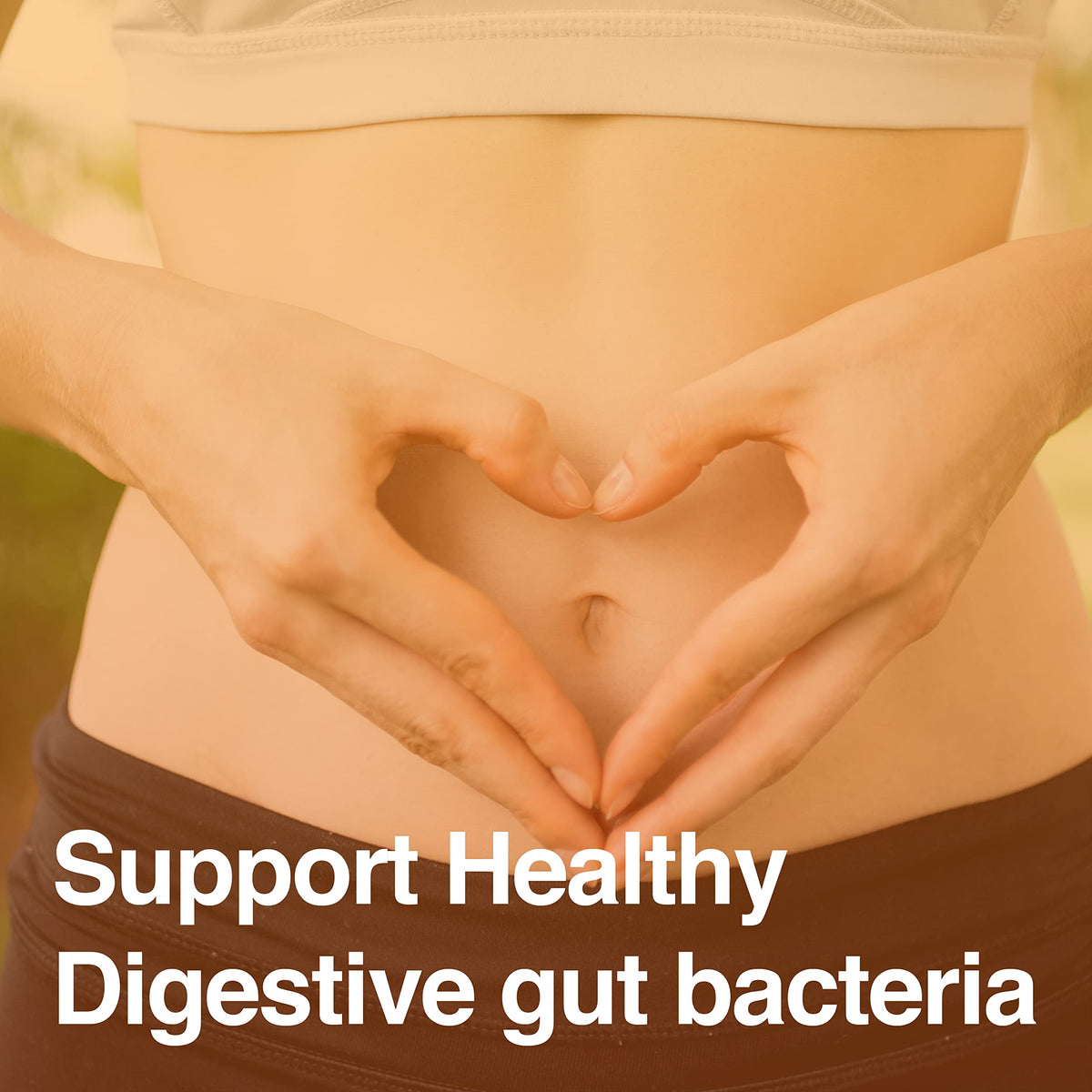 Vatellia Life New from Eaters Digest - Prebiotic - Probiotic - Digestive Support - Gut Soothing - Healthy Gut Lining - Max Nutrient Absorption