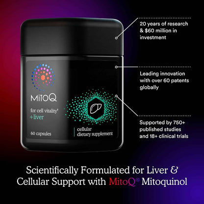 MitoQ +Liver - Advanced Liver Supplement with Highly Bioavailable Milk Thistle, Choline, Selenium Mitoquinol - Supports Metabolism, Body’s Natural Detoxification & Liver Health - 60 Capsules
