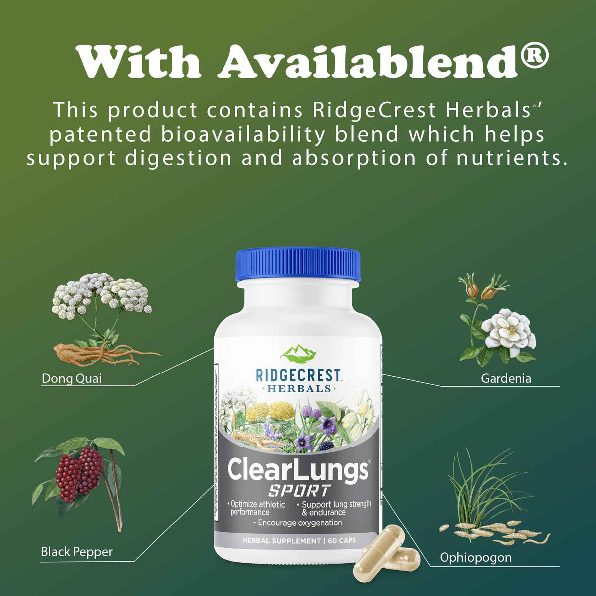 Ridgecrest Herbals ClearLungs Sport, Oxygen Intake and Lung Support Formula with Cordyceps, Rhodiola, Eleuthero (60 Vegan Caps, 30 Serv)