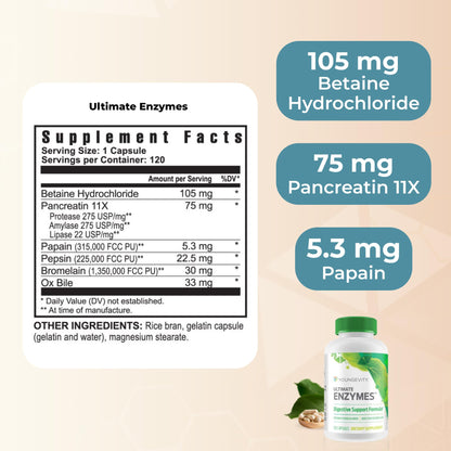 Youngevity Ultimate Enzymes - Multi Enzymes for Digestion, Gas & Bloating Relief - Betaine HCl, Ox Bile, Pancreatine 10X, Papain 6M, Pepsin 1:3000 (120 Capsules)