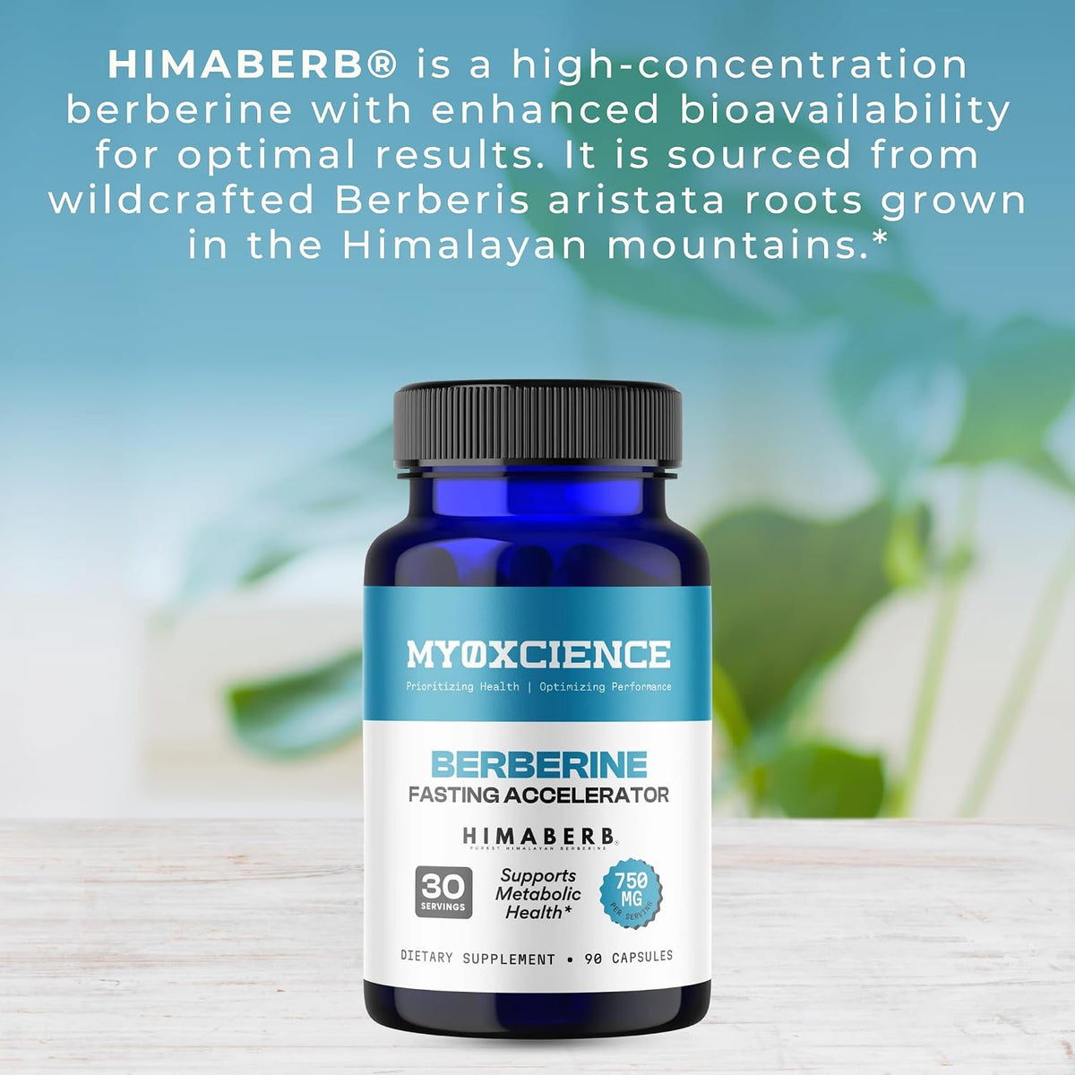 MYOXCIENCE Berberine Fasting Accelerator - Himaberb Berberine HCL with ALA (Alpha Lipoic Acid) and Biotin (90 Capsules)