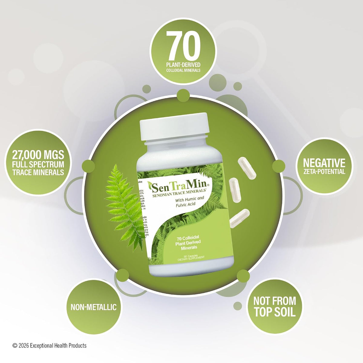 Plant Based Mineral Complex, 90 Vegetable Capsules - Daily Wellness, Energy & Immune Support with70 Plant Sourced Colloidal Trace Minerals with Antioxidants, Enzymes & More