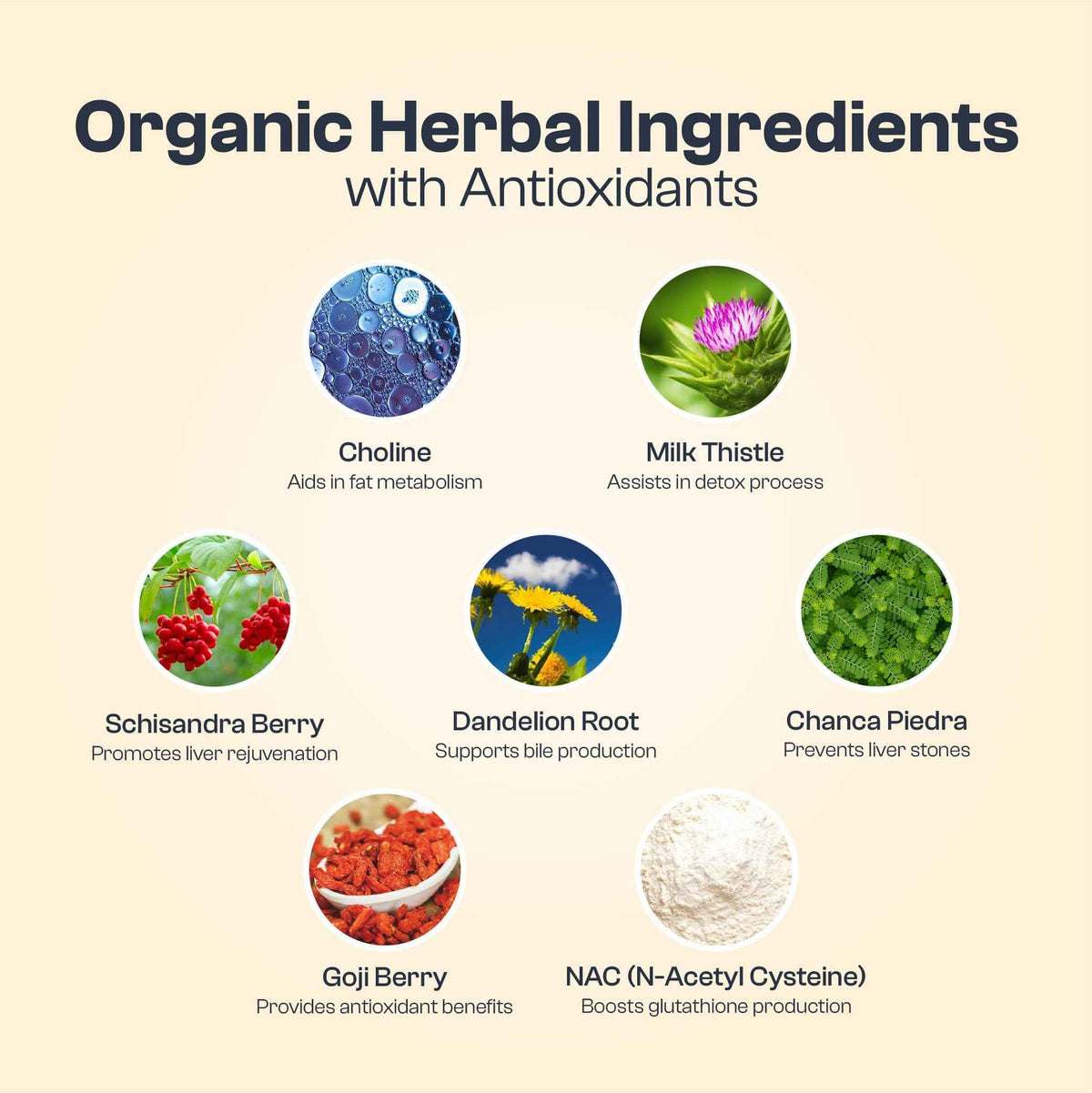 My Vida Origins Liver Detox with Organic Milk Thistle Organic Dandelion Extract and Choline with NAC - Liver Detox 120 Capsules