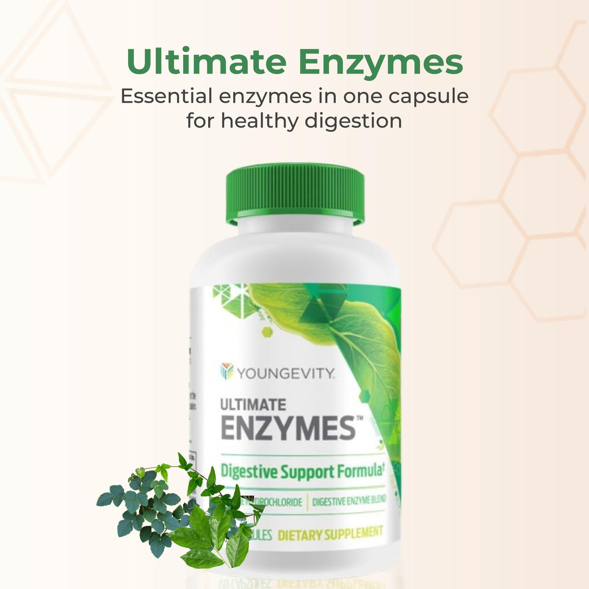 Youngevity Ultimate Enzymes - Multi Enzymes for Digestion, Gas & Bloating Relief - Betaine HCl, Ox Bile, Pancreatine 10X, Papain 6M, Pepsin 1:3000 (120 Capsules)