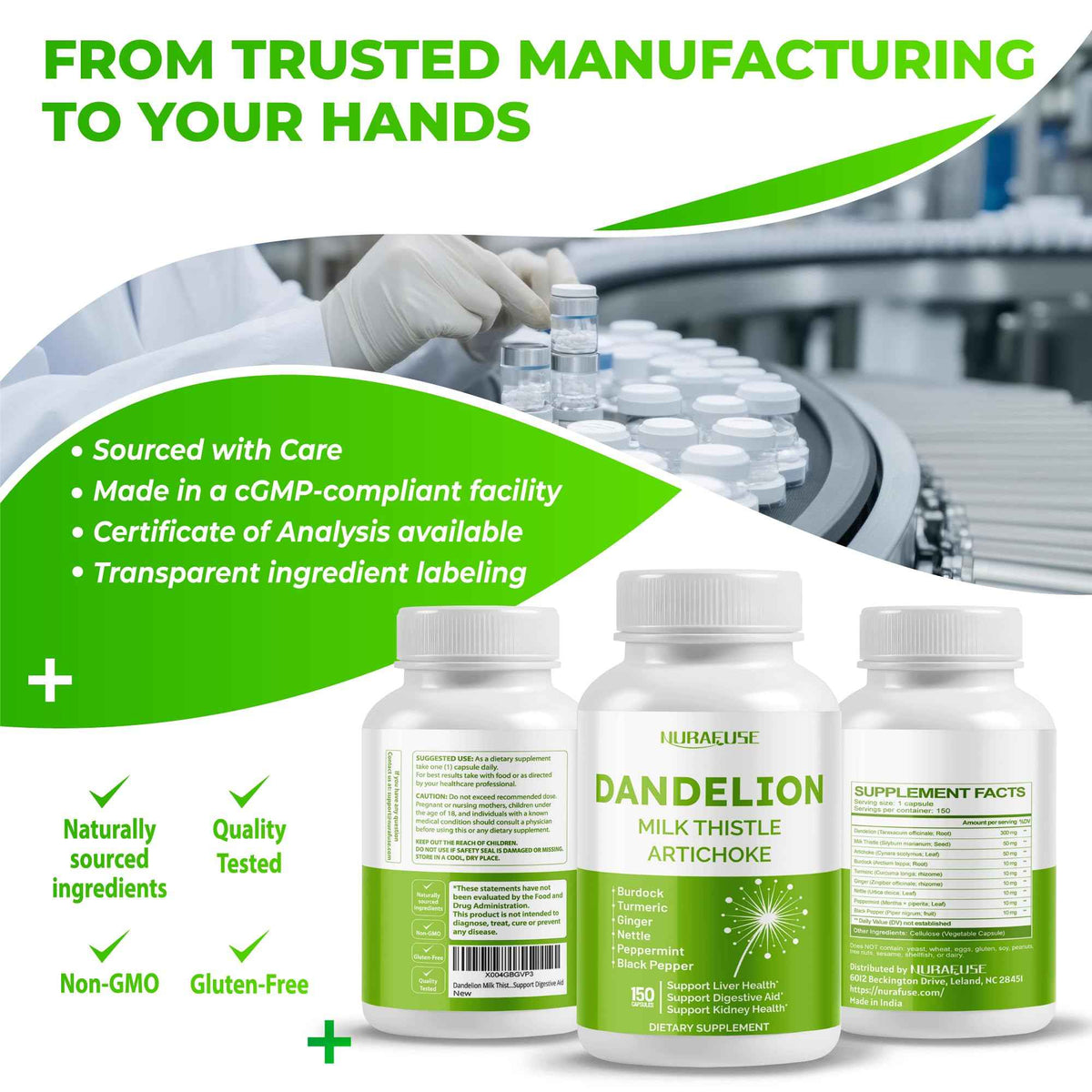 Dandelion Milk Thistle Artichoke Burdock Turmeric - Support Liver Health, Support Digestive Aid