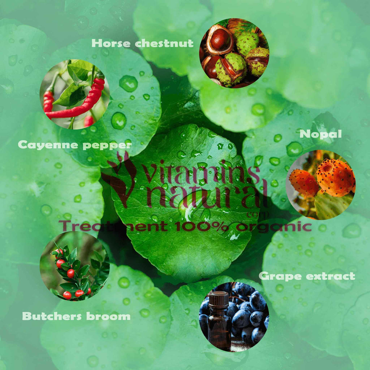 VITAMINS NATURAL CORP. CircuVeins Varicose Veins Support for Legs Capsules - Organic Vein Health Supplement with Horse Chestnut Grape Extract and Cayenne Pepper - 60 Capsules