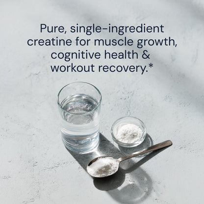 Blueprint Bryan Johnson Creatine Monohydrate Powder - Amino Acid Powder - Supplement Supports Muscle Growth, Recovery, Strength & Focus - Unflavored Creatine for Women & Men - 5g Dose - 100 Servings