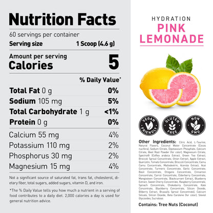 Kaged Sugar Free Hydration - 5 Key Electrolytes - Coconut Water - Tastes Amazing - 60 Servings