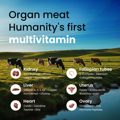 Beef Organ Supplement for Women - Grass Fed Liver, Uterus, Ovary, Heart, Kidney - 30+ Nutrients to Support Hormone Balance, Cycle Health, Energy, Immunity