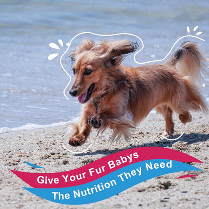 NATURE TARGET Dog Vitamins Powder, Probiotics & Digestive Enzymes for Gut Health, Glucosamine & Chondroitin & Omega 3, Complete Supplement for Homemade Dog Food, Joint & Skin & Immune Support - Probiotics & Digestive Enzymes for Gut Health, Glucosamine &
