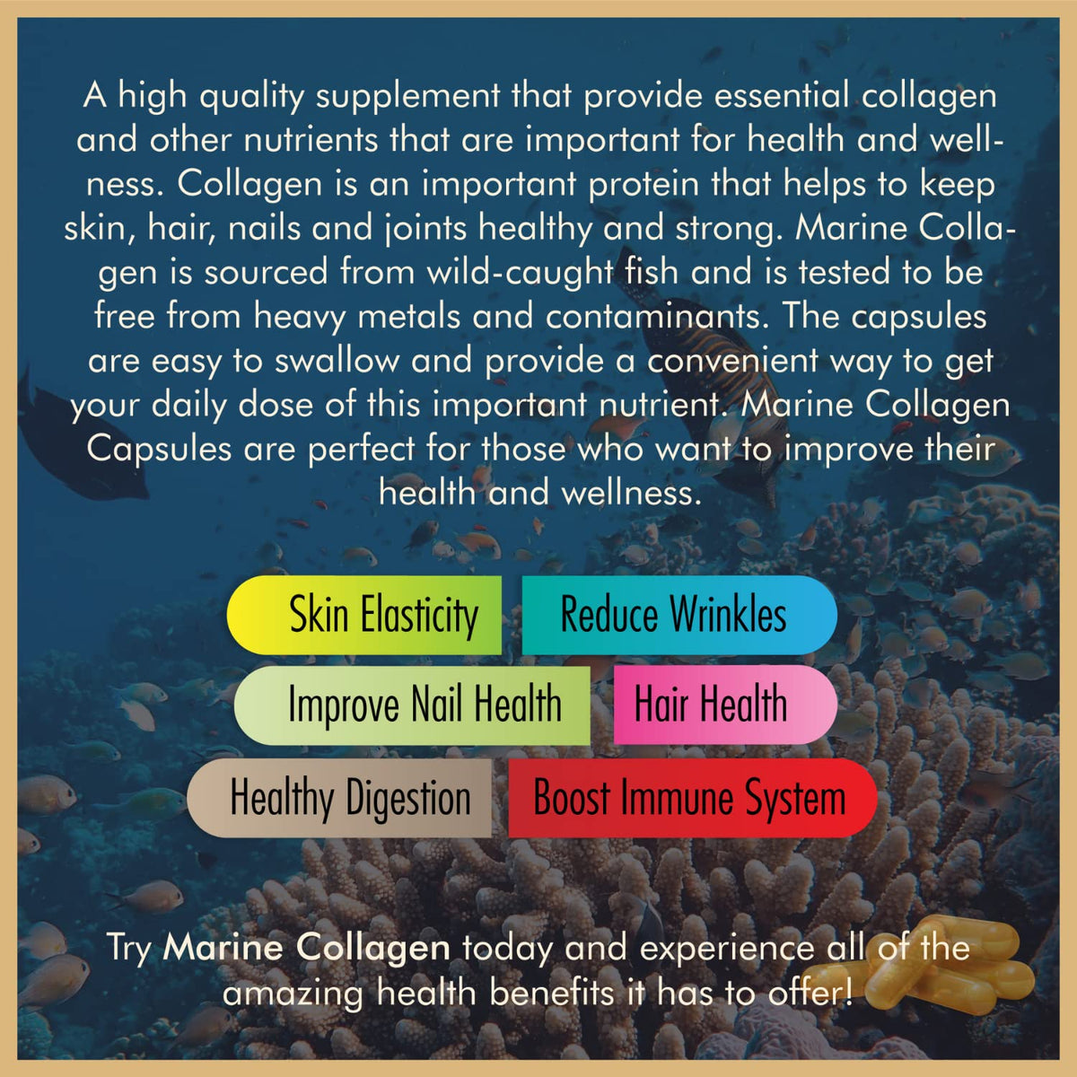 Vitalytes Marine Collagen Supplement 2400mg - 120 Marine Collagen Capsules Made in The UK