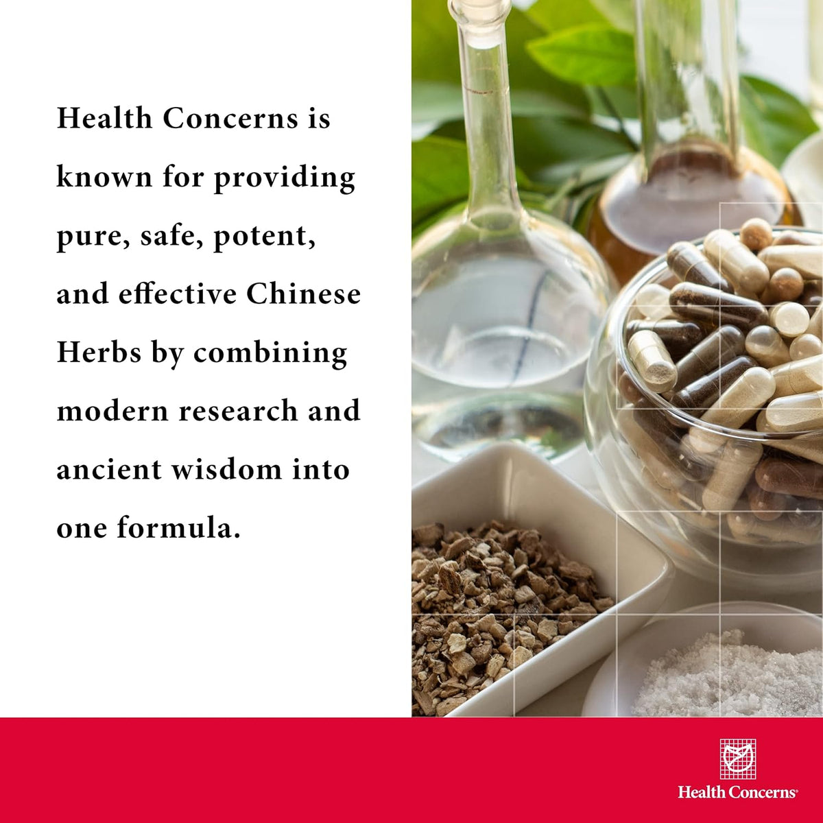 Health Concerns Cordyceps PS - Lung Support & Respiratory Health Supplement - Mushroom Fruiting Body for Immune Function, Heart Health, Circulation, Athletic Energy, Oxygen Support - 50 Capsules