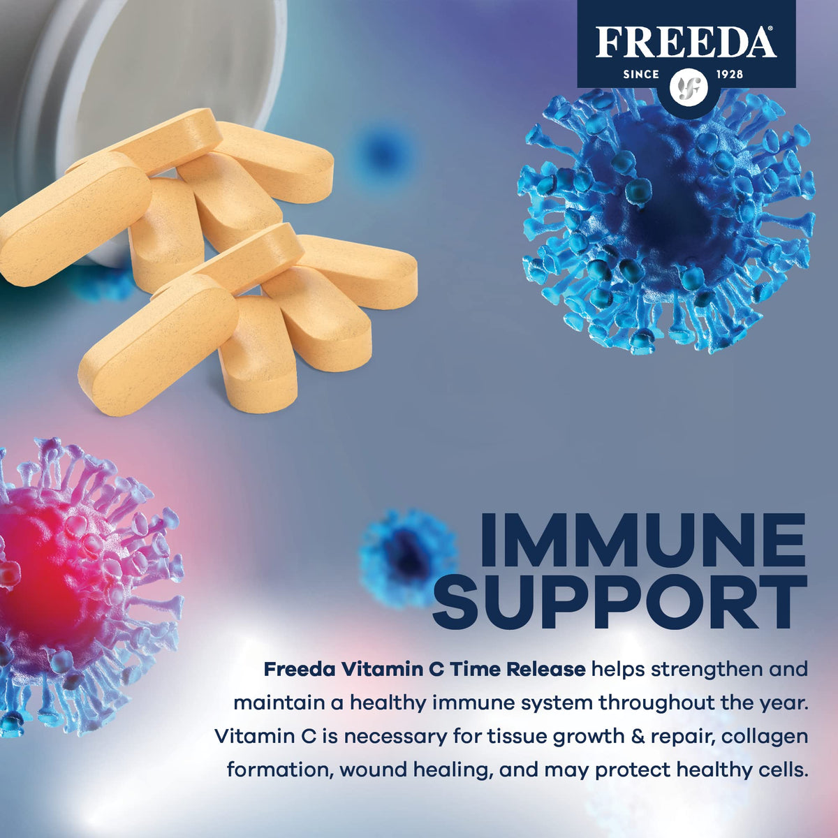 FREEDA Timed Release Vitamin C 1000mg - Slow-Release for All-Day Immune & Antioxidant Support, Gentle on Stomach, Kosher & Vegan, High-Absorption Tablets (100 Tablets) - Supports All-Day Immune & Antioxidant Defense - Promotes Collagen & Cell Health - Gen