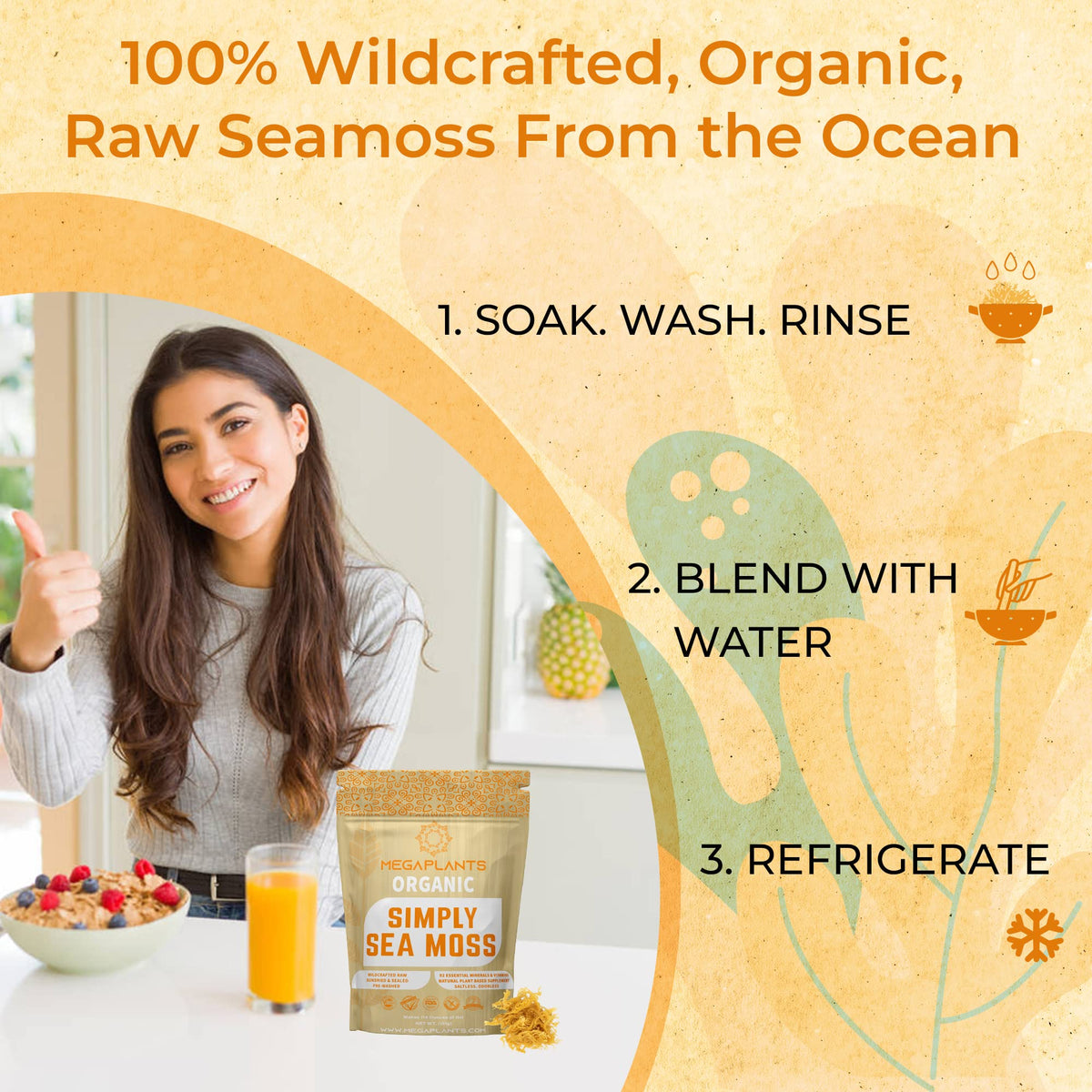 MEGAPLANTS Organic Sea Moss - Makes 228 Servings of Seamoss Gel - Pre-Washed