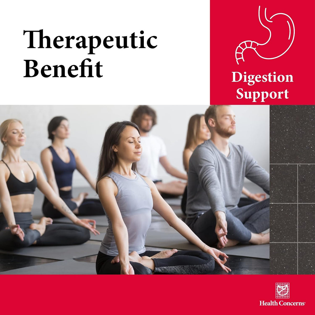 Health Concerns Six Gentlemen - Digestive Health & Qi Support Supplement - Licorice Root, Ginger & Codonopsis Formula - Bloating, Gas, Nausea - 90 Capsules - Chinese Herbal Medicine