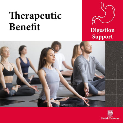 Health Concerns Six Gentlemen - Digestive Health & Qi Support Supplement - Licorice Root, Ginger & Codonopsis Formula - Bloating, Gas, Nausea - 90 Capsules - Chinese Herbal Medicine