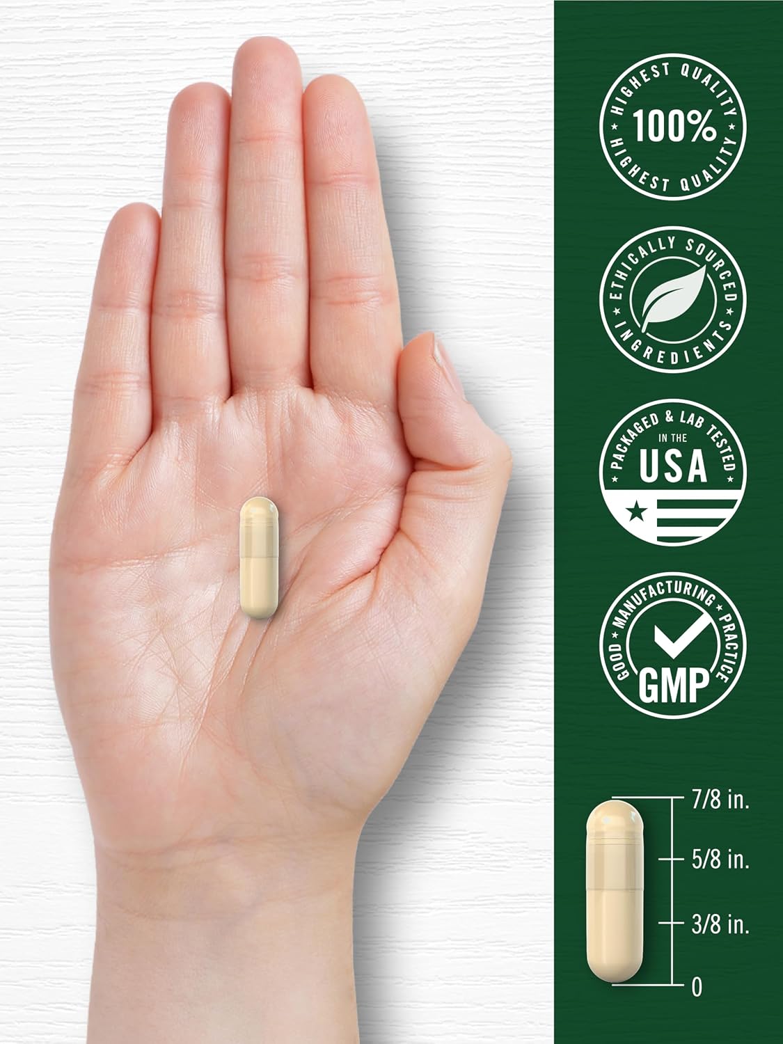 Carlyle Ceylon Cinnamon Capsules - 120 Count - Non-GMO & Gluten Free Supplement