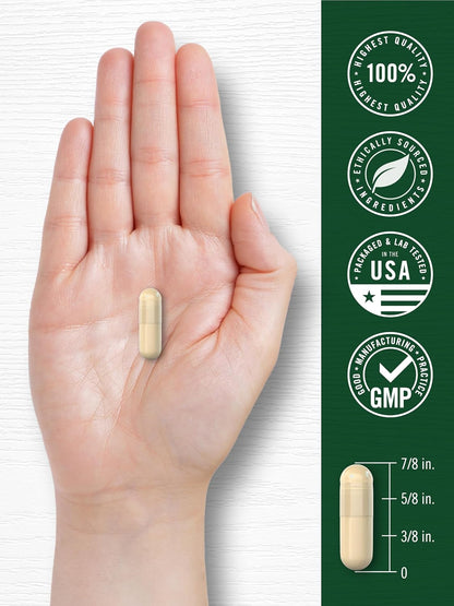 Carlyle Ceylon Cinnamon Capsules - 120 Count - Non-GMO & Gluten Free Supplement