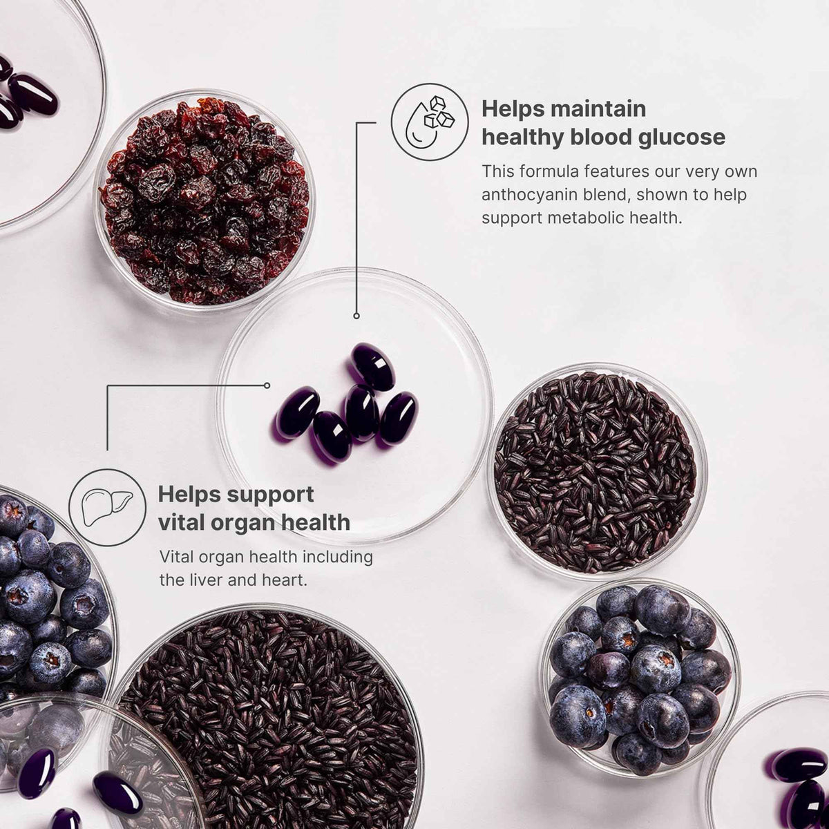 Nu Skin ageLOC Meta - Premium Dietary Supplement - Advanced Soft Gel Capsules Promoting Metabolic Health, Immune Support, Antioxidant Defense, and Improved Gut Health