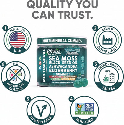 Sea Moss Gummies - Clinically Tested - Black Seed Oil Ashwagandha Elderberry Burdock Root Chlorella Manuka Honey - Vegan Irish Sea Moss Gummy Vitamins for Adults Kids Men Women - Green Apple Flavor