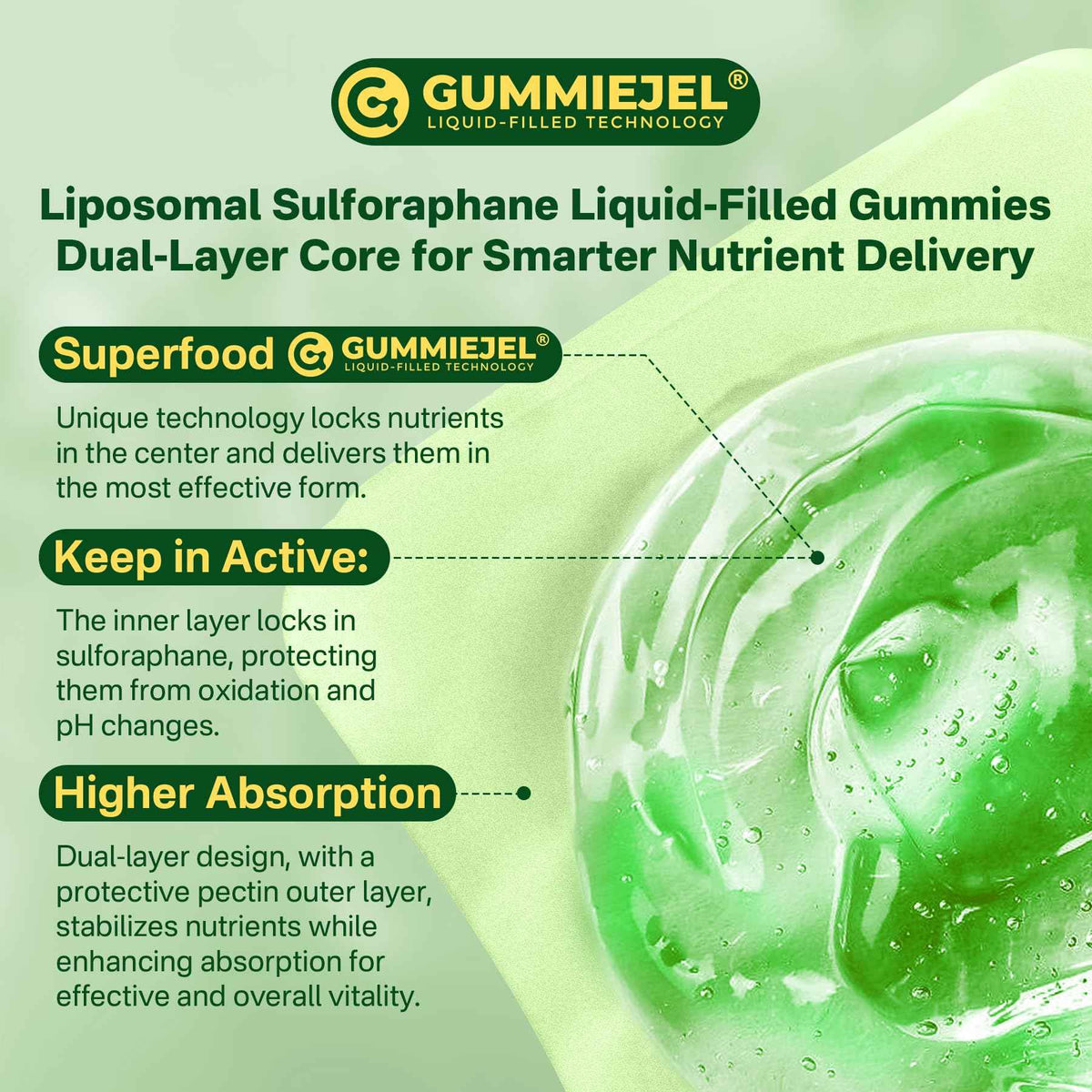 Liposomal Sulforaphane Supplement 150mg, from Broccoli Seed Extract w/Myrosinase, Quercetin, Glutathione, Sulforaphane Supplement Gummies for Antioxidants Detox Cellular Brain Health, Chewable 60Cts