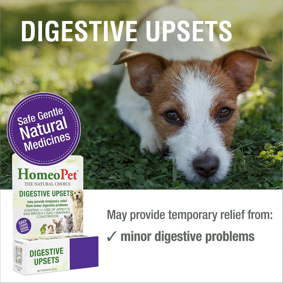 HomeoPet Digestive Upsets, Supplement for Dogs and Cats, 15 Milliliters - Natural digestive support for cats, dogs, and other pets, safe homeopathic formula, liquid drops suitable for daily use