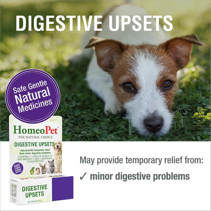 HomeoPet Digestive Upsets, Supplement for Dogs and Cats, 15 Milliliters - Natural digestive support for cats, dogs, and other pets, safe homeopathic formula, liquid drops suitable for daily use