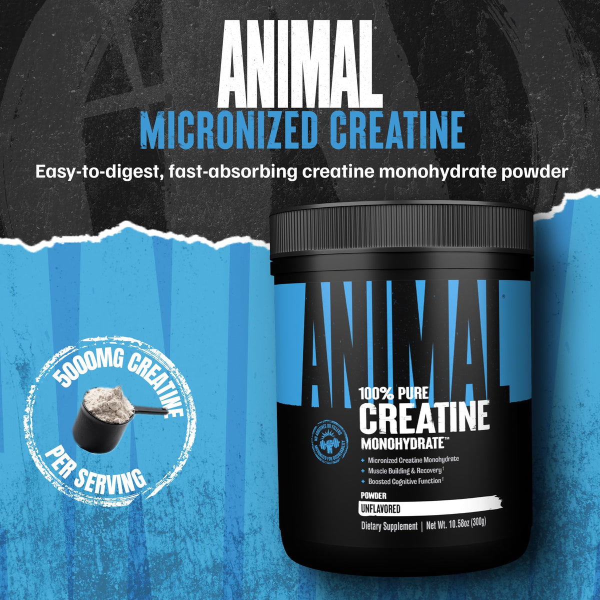 Animal Creatine Monohydrate Powder - Micronized for Muscle Recovery, Cellular Energy, and Daily Wellness - for Men and Women