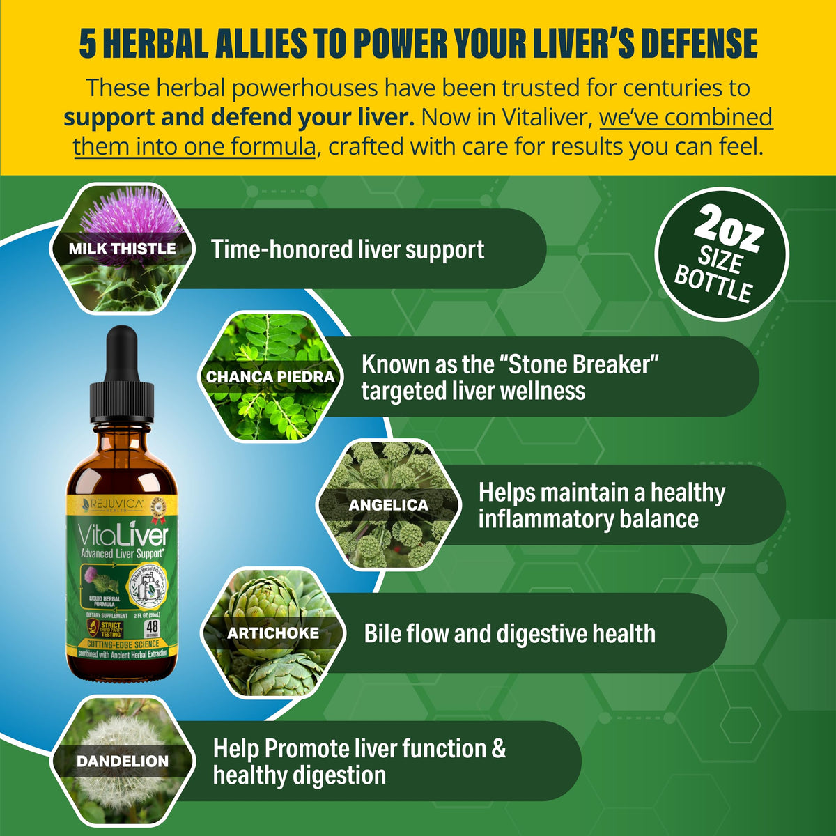 Rejuvica Health VitaLiver - Liver Cleanse & Detox Drops - Milk Thistle, Artichoke, Chanca Piedra & Dandelion Extract - Fatty Liver Support Repair